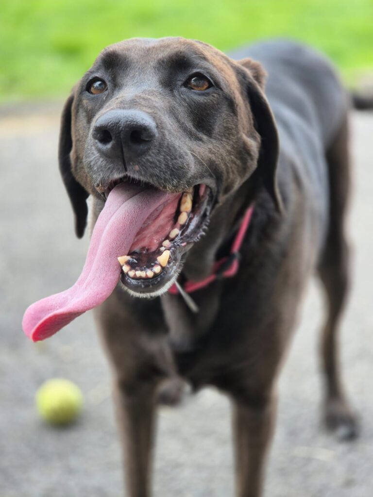 whatsapp image 2026 01 31 at 23.37.46