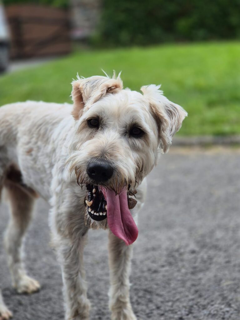 whatsapp image 2026 01 31 at 23.37.47