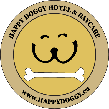 cropped asset 2 1.png