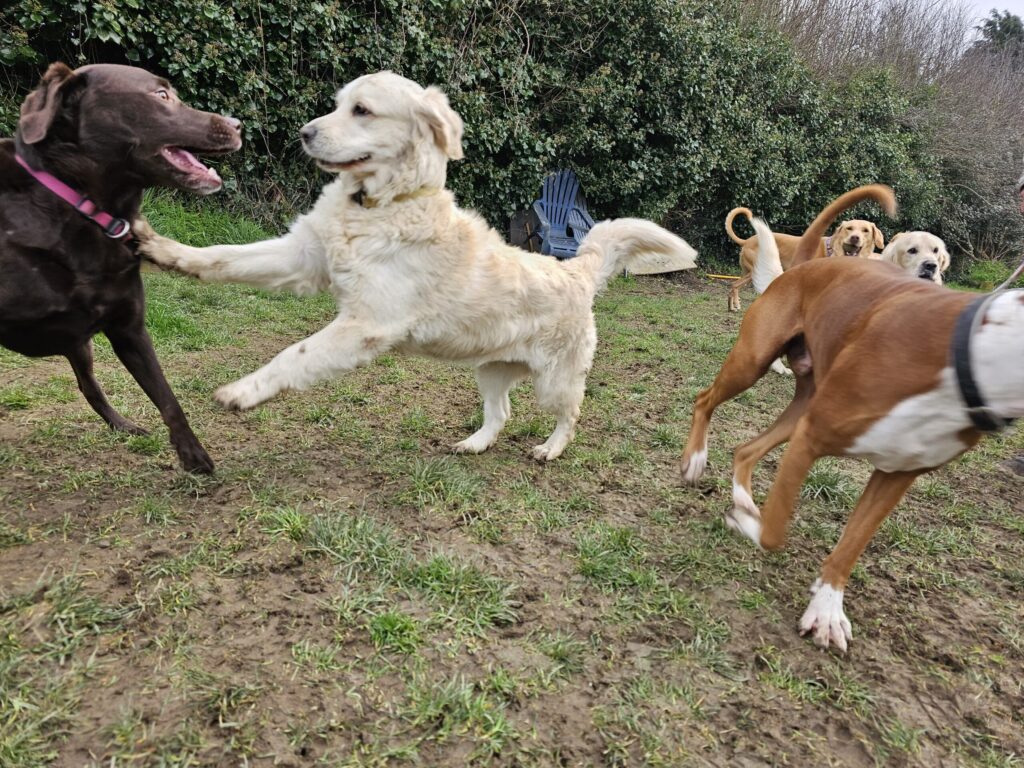 20230222 120502 copy