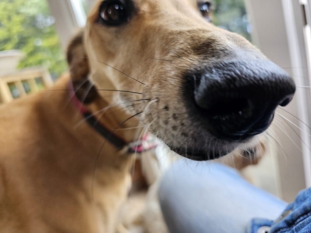 20230510 140222 copy