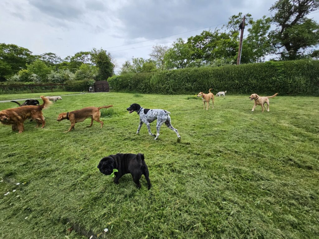 20230519 155154(0) copy